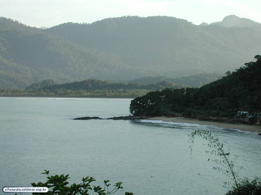 Vista Praia Picinguaba